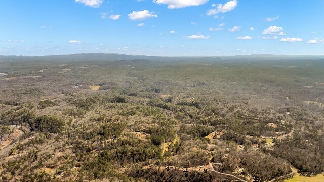 532 Pleasant Gap Rd, Ellijay, GA 30540