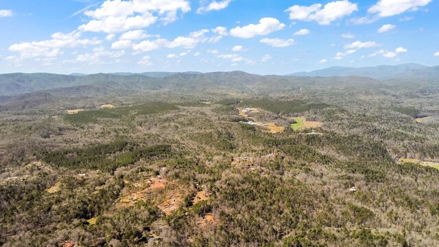 532 Pleasant Gap Rd, Ellijay, GA 30540