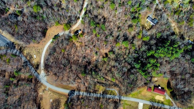 532 Pleasant Gap Rd, Ellijay, GA 30540