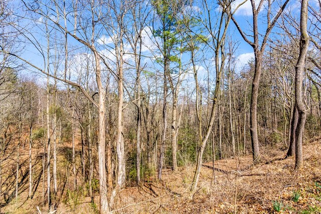 532 Pleasant Gap Rd, Ellijay, GA 30540