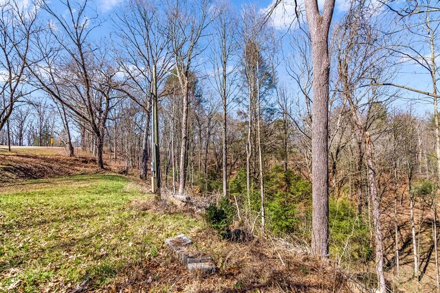 532 Pleasant Gap Rd, Ellijay, GA 30540