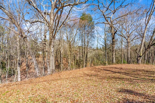 532 Pleasant Gap Rd, Ellijay, GA 30540