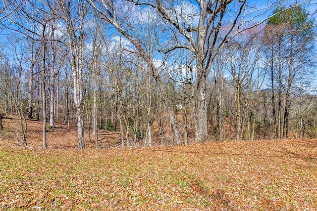 532 Pleasant Gap Rd, Ellijay, GA 30540