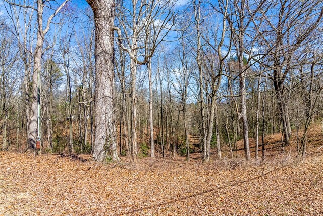 532 Pleasant Gap Rd, Ellijay, GA 30540