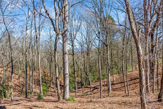 532 Pleasant Gap Rd, Ellijay, GA 30540