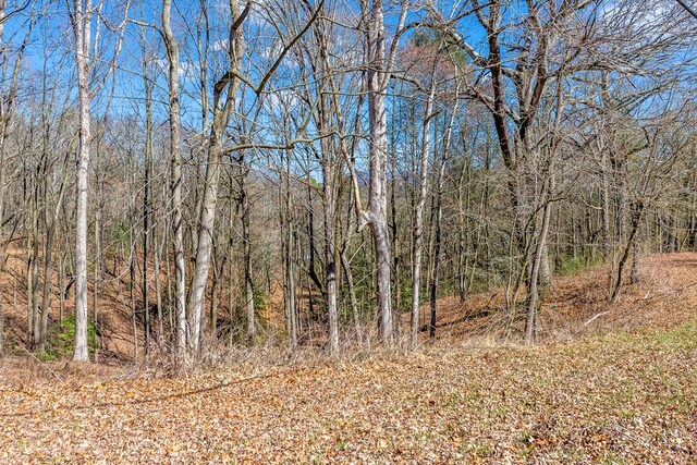 532 Pleasant Gap Rd, Ellijay, GA 30540