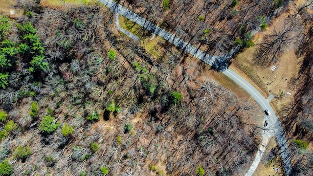 532 Pleasant Gap Rd, Ellijay, GA 30540