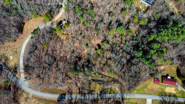 532 Pleasant Gap Rd, Ellijay, GA 30540