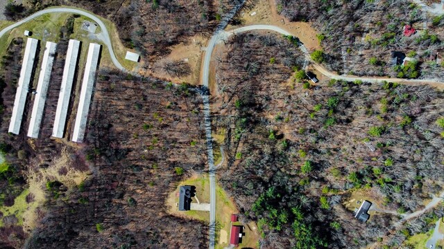 532 Pleasant Gap Rd, Ellijay, GA 30540