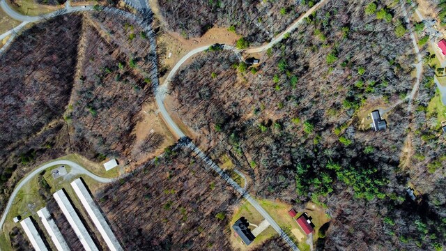 532 Pleasant Gap Rd, Ellijay, GA 30540