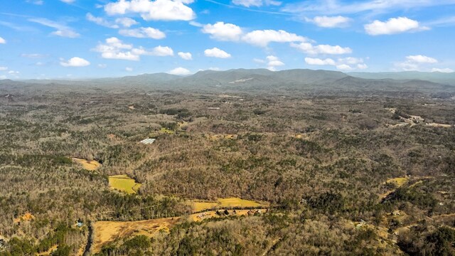 532 Pleasant Gap Rd, Ellijay, GA 30540