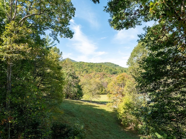 view of local wilderness featuring a mountain view