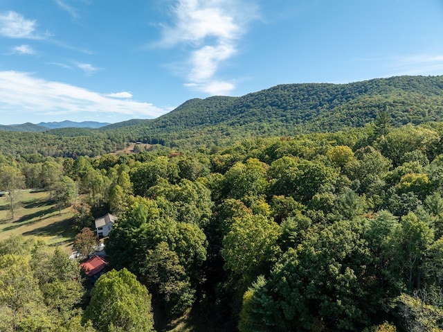 view of mountain feature