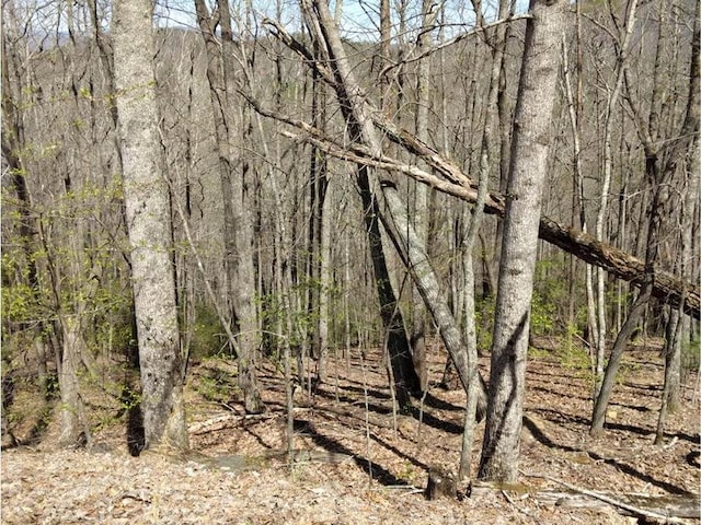 M99 Sleepy Hollow Rd, Ellijay, GA 30536