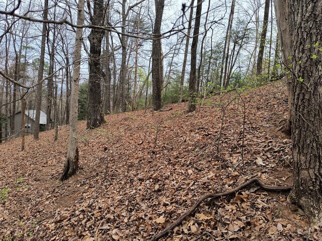 M99 Sleepy Hollow Rd, Ellijay, GA 30536