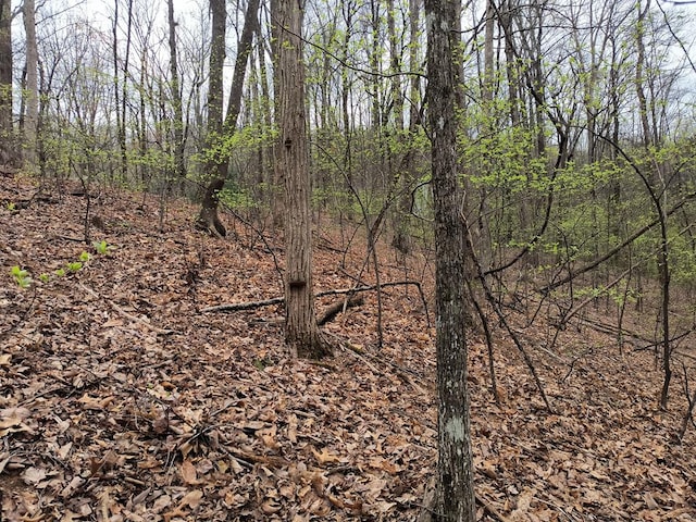M99 Sleepy Hollow Rd, Ellijay, GA 30536