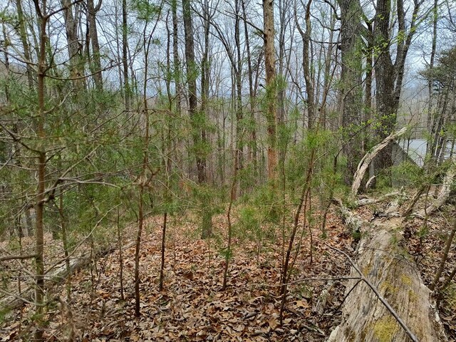 M99 Sleepy Hollow Rd, Ellijay, GA 30536