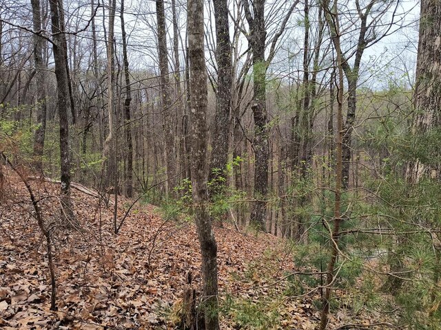 M99 Sleepy Hollow Rd, Ellijay, GA 30536