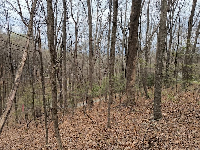 M99 Sleepy Hollow Rd, Ellijay, GA 30536