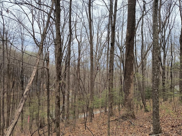 M99 Sleepy Hollow Rd, Ellijay, GA 30536