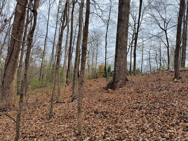 M99 Sleepy Hollow Rd, Ellijay, GA 30536