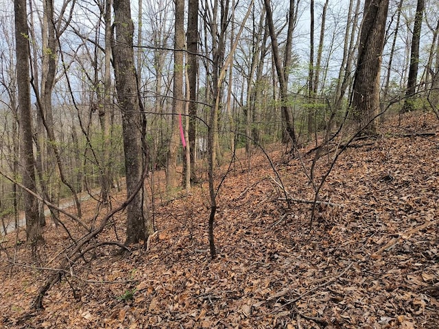 M99 Sleepy Hollow Rd, Ellijay, GA 30536