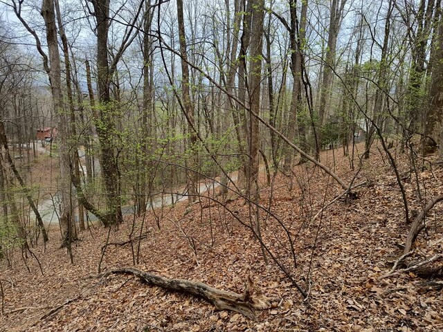 M99 Sleepy Hollow Rd, Ellijay, GA 30536