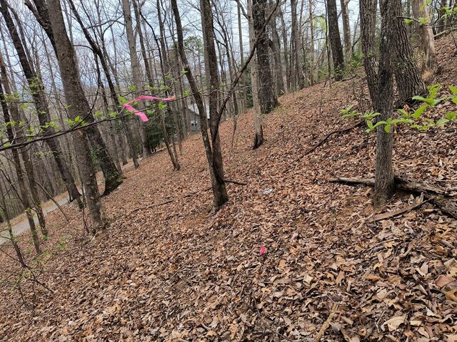 M99 Sleepy Hollow Rd, Ellijay, GA 30536