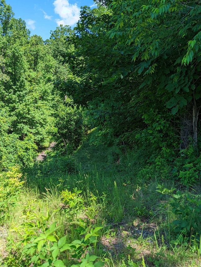 LOT2 Hickory Rdg, Hayesville, NC 28904