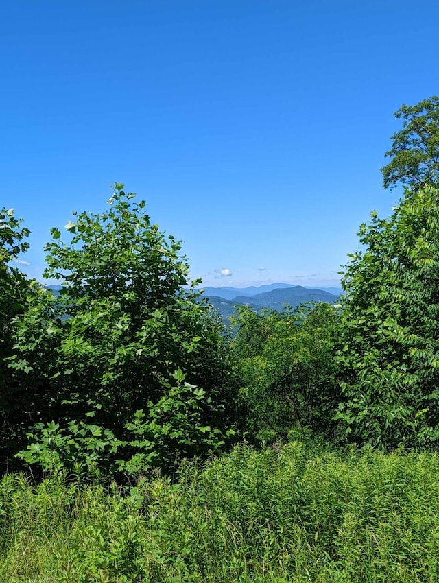LOT2 Hickory Rdg, Hayesville, NC 28904