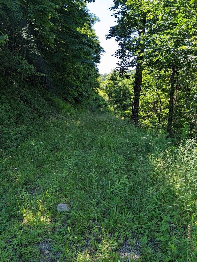 LOT2 Hickory Rdg, Hayesville, NC 28904