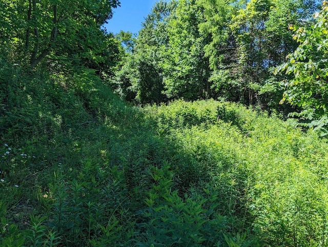 LOT2 Hickory Rdg, Hayesville, NC 28904