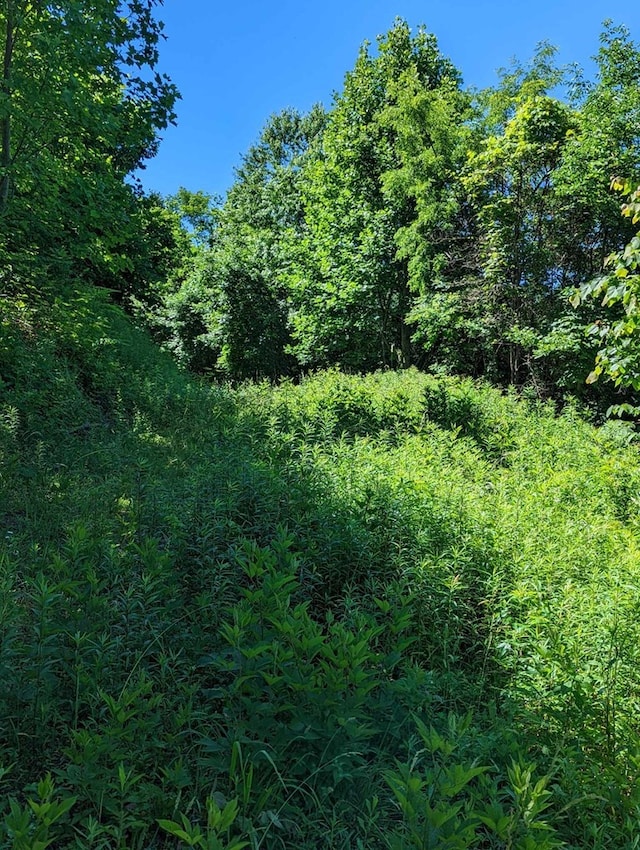 LOT2 Hickory Rdg, Hayesville, NC 28904