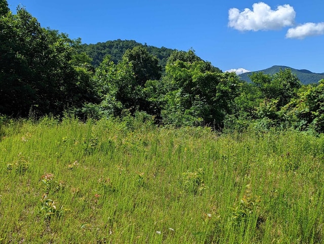 LOT2 Hickory Rdg, Hayesville, NC 28904