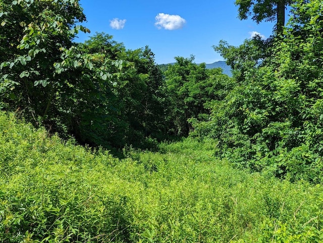 LOT2 Hickory Rdg, Hayesville, NC 28904