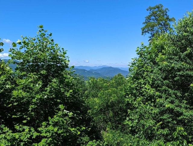 LOT2 Hickory Rdg, Hayesville, NC 28904