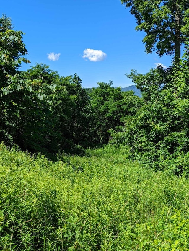 LOT2 Hickory Rdg, Hayesville, NC 28904