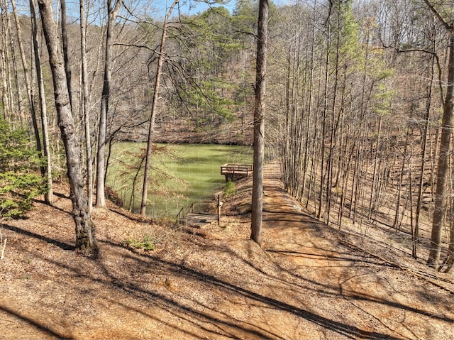 view of nature with a forest view