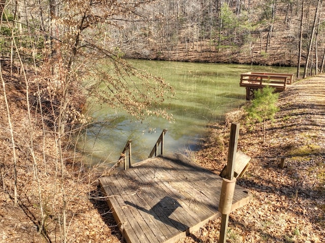 dock area with a wooded view