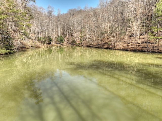 water view with a wooded view