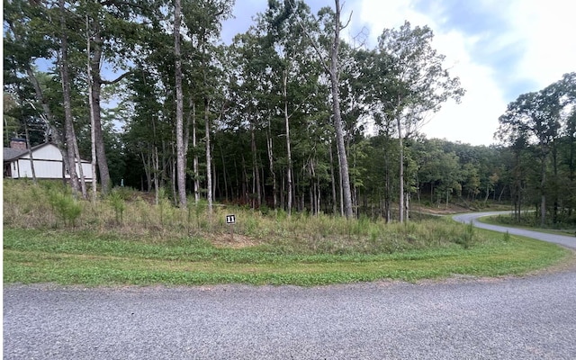 LT11 Lake Top Ln, Ellijay GA, 30540 land for sale