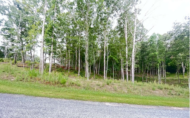 Listing photo 2 for LT11 Lake Top Ln, Ellijay GA 30540