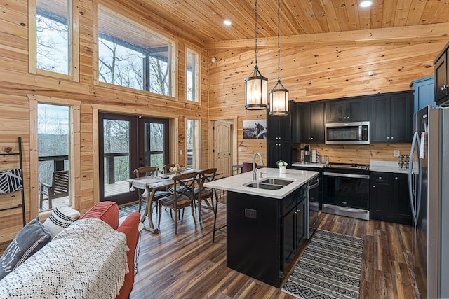 kitchen featuring wooden walls, decorative light fixtures, sink, stainless steel appliances, and a center island with sink