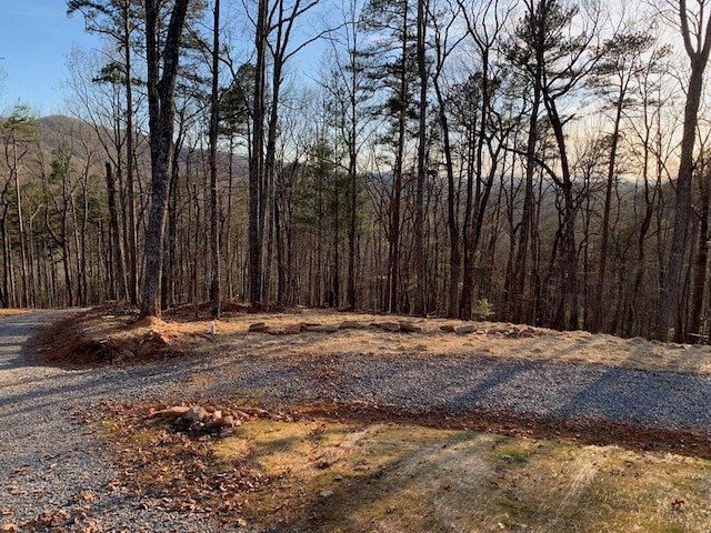 673 Willard Mountain Rd, Ellijay GA, 30513 land for sale