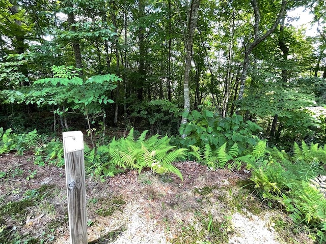 LOT37 Fodder Creek Mill Dr, Hiawassee GA, 30546 land for sale