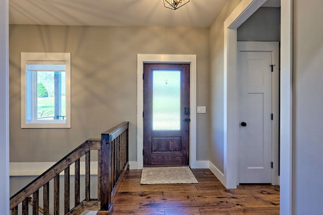 entrance foyer with dark hardwood / wood-style flooring