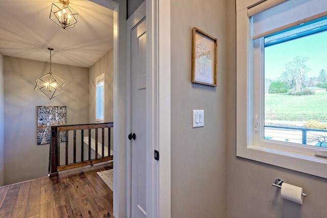 hall featuring plenty of natural light, a chandelier, and dark hardwood / wood-style floors