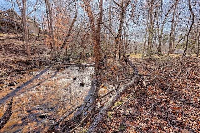 view of landscape