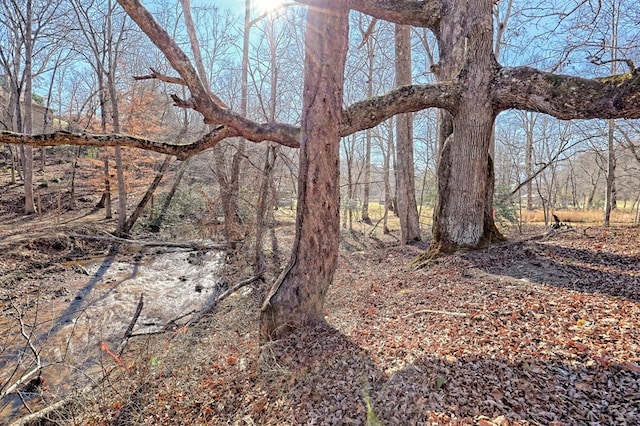 view of nature