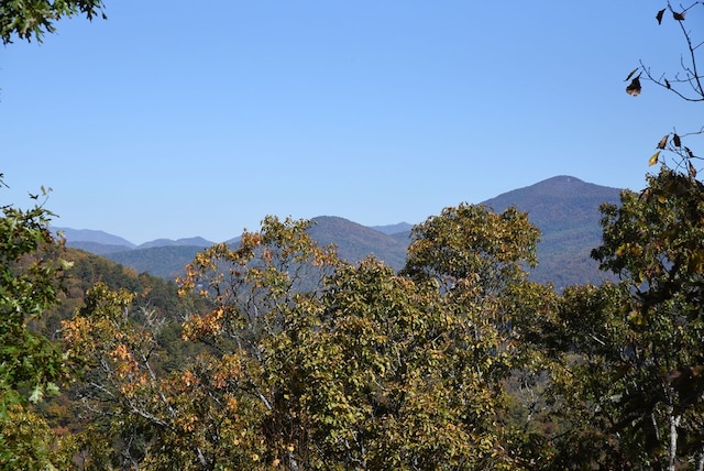 view of mountain feature